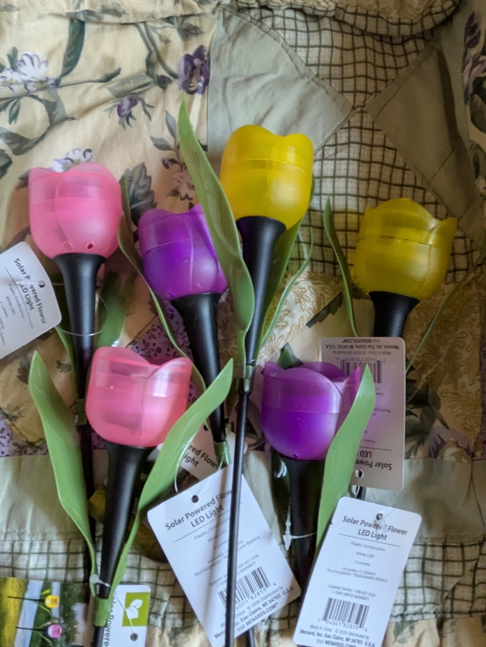 E-Z Grow Cutflower Zinnias & 6 Solar Garden Lights